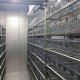 Камера теплоизолированная сборная КТС-УОМЗ (+2…+8˚С) для иммунобиологических препаратов - Изображение 1